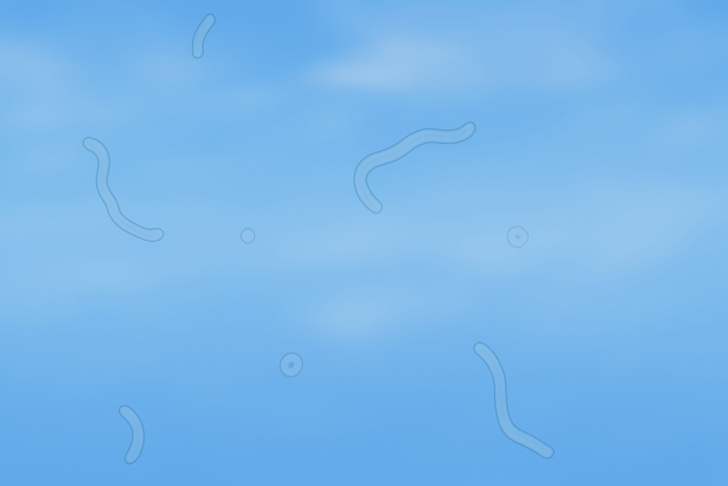 Moscas volantes nos olhos: quando se preocupar e como tratar