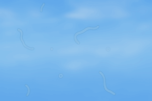 Moscas volantes nos olhos: quando se preocupar e como tratar